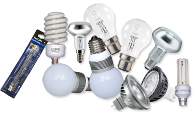 selection of light bulbs